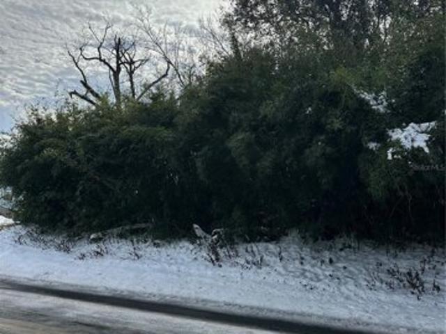 Land for sale in Marianna