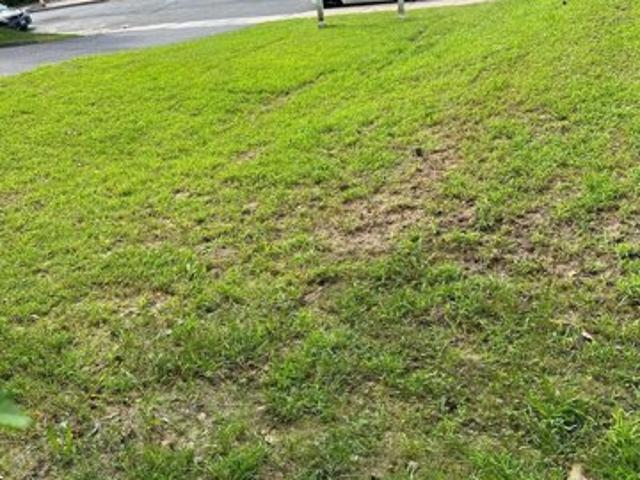 Land for sale in Waterbury