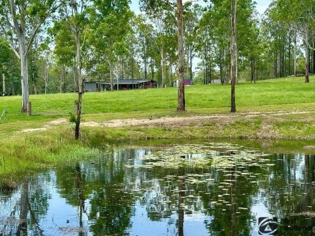 Land for sale in Lanitza, New South Wales