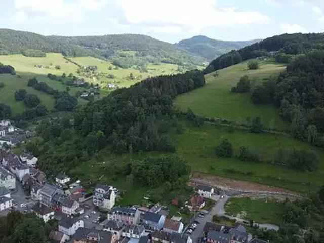 Terrain vente à Orbey, Collectivité européenne d'Alsace