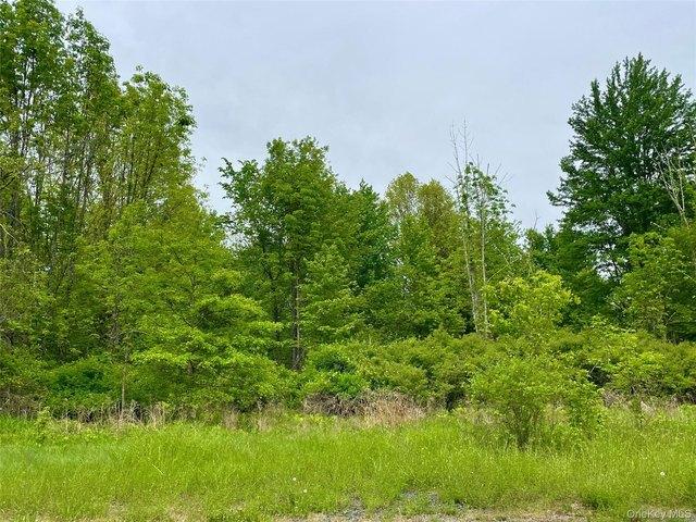 Land for sale in Modena, New York