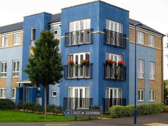 Apartment for rent in Orchard Park, Arrington