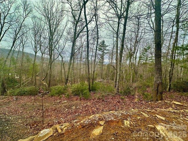 Land for sale in Spruce Pine, North Carolina