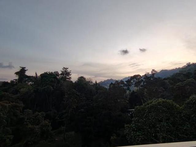 Condominium for sale in Georgetown, Penang