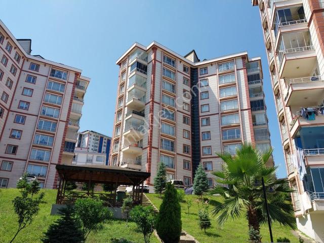 Ordu içerisinde kiralık mülk