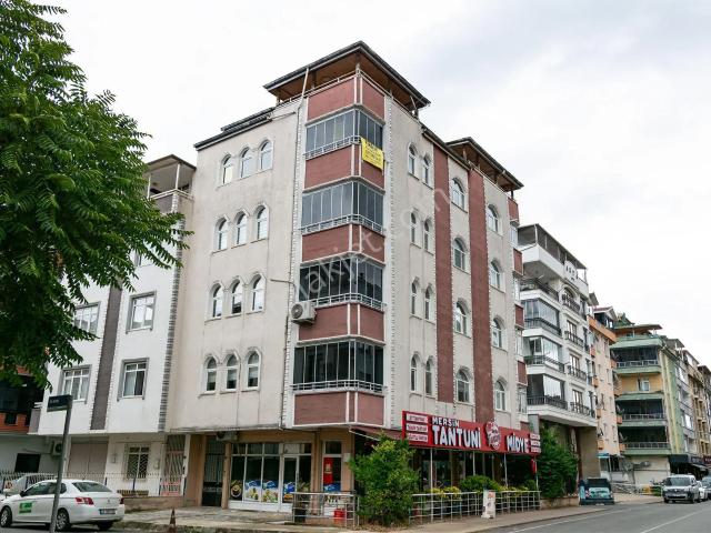 Ordu içerisinde kiralık mülk
