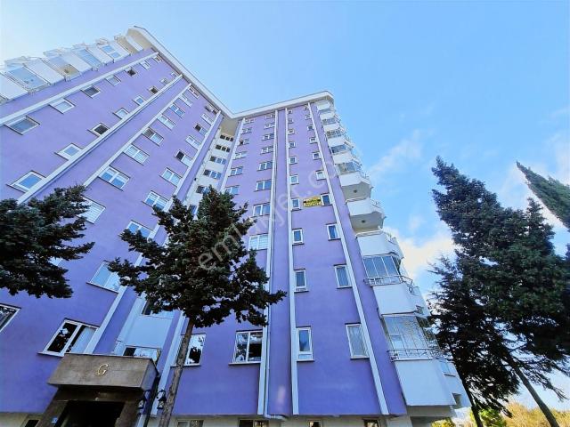 Ordu içerisinde kiralık mülk