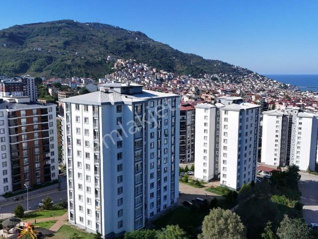 Ordu içerisinde kiralık mülk