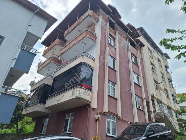 Ordu içerisinde kiralık mülk