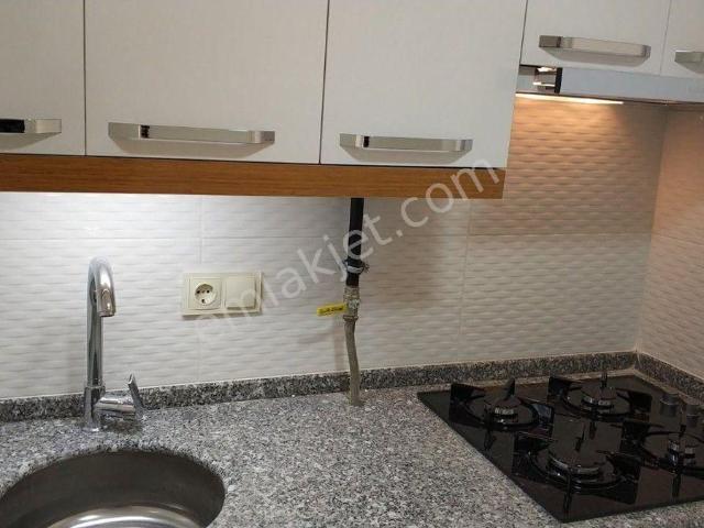 Ordu içerisinde kiralık mülk