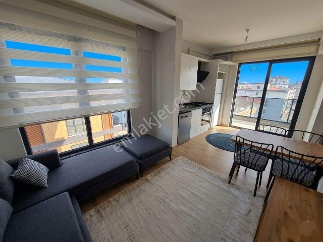 Ordu içerisinde kiralık mülk