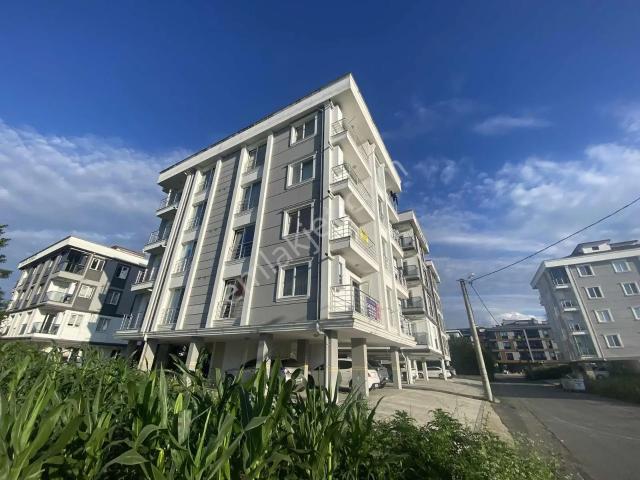 Ordu içerisinde kiralık mülk