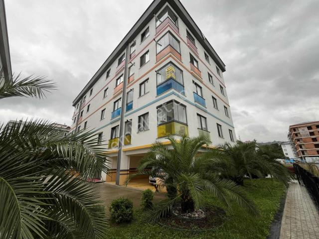 Ordu, Altınordu içerisinde kiralık mülk