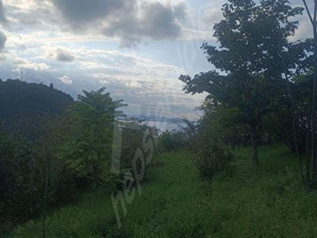 Yalıköy, Fatsa içerisinde satılık Arsa