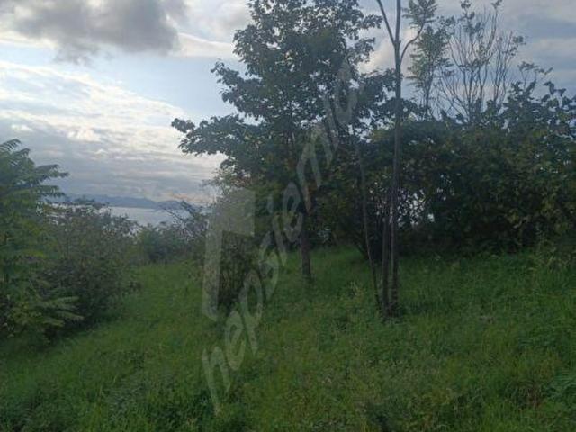 Yalıköy, Fatsa içerisinde satılık Arsa