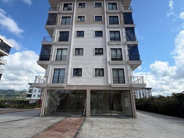 Ordu, Altınordu içerisinde satılık Dükkan