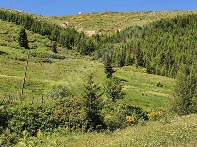 Ordu içerisinde satılık Dükkan