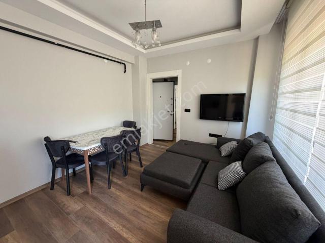 Ordu içerisinde kiralık mülk