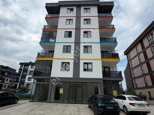 Ordu içerisinde kiralık mülk