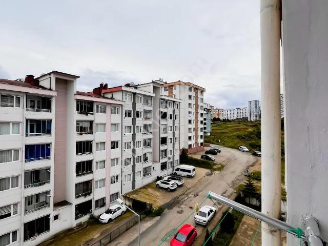 Ordu, Altınordu içerisinde kiralık mülk