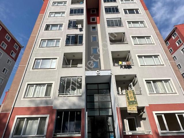 Ordu içerisinde kiralık mülk