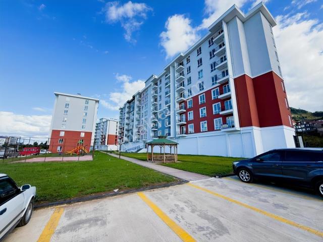 Ordu içerisinde kiralık mülk