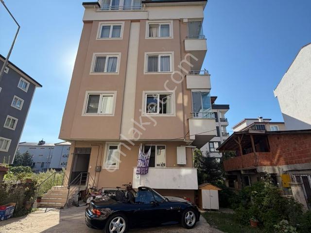 Ordu içerisinde kiralık mülk
