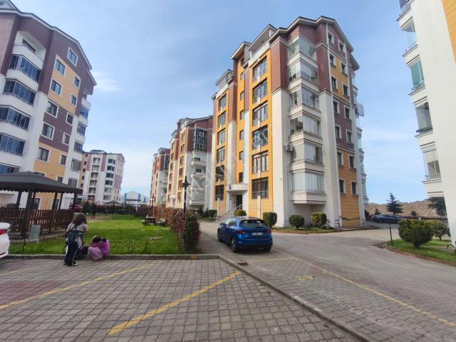 Ordu içerisinde kiralık mülk