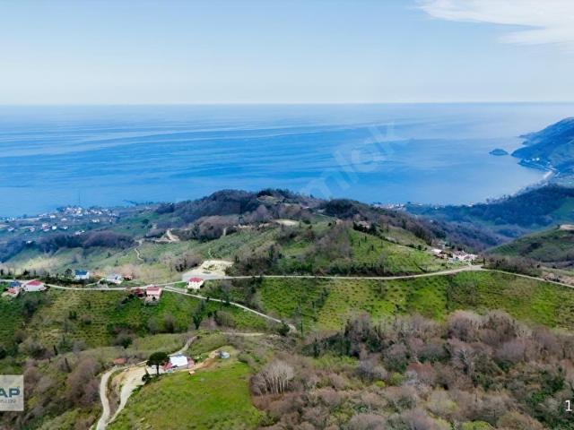 Çaytepe Mahallesi, Perşembe içerisinde satılık mülk