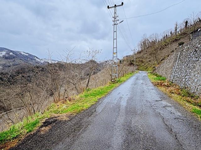 Ordu içerisinde satılık mülk