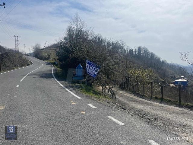 Ordu içerisinde satılık mülk
