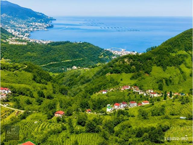 Ordu içerisinde satılık mülk