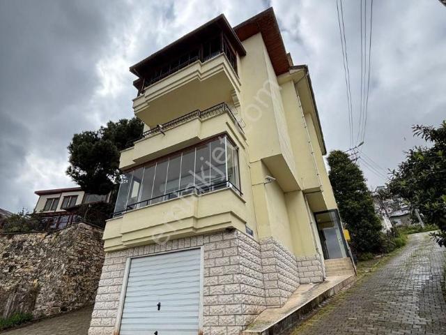 Ordu içerisinde kiralık mülk