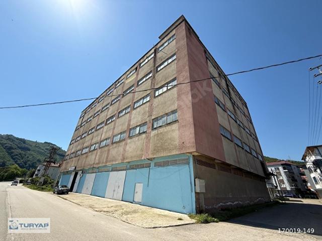 Ordu içerisinde satılık Fabrika