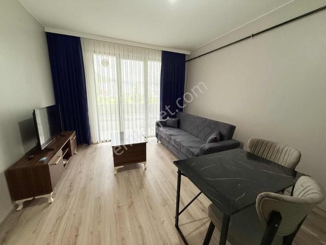 Ordu içerisinde kiralık mülk