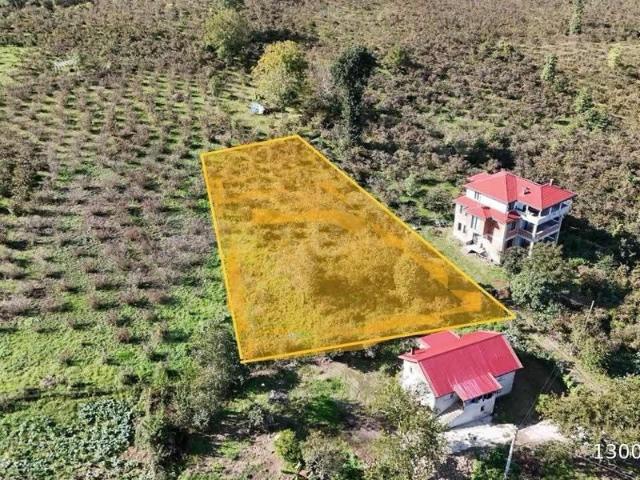 Efirli Mahallesi, Perşembe içerisinde satılık mülk