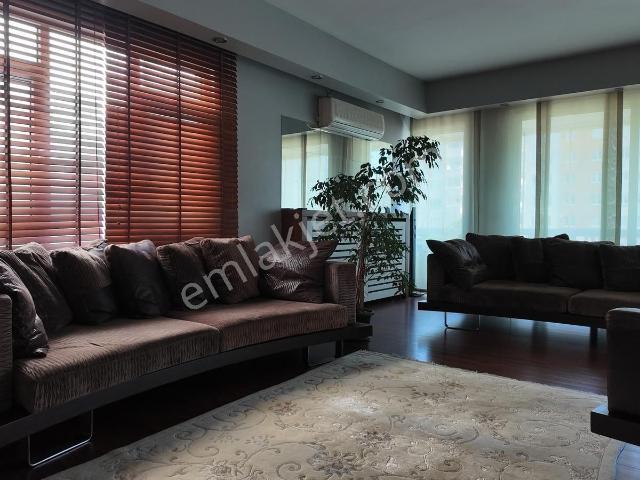 Ordu içerisinde kiralık mülk