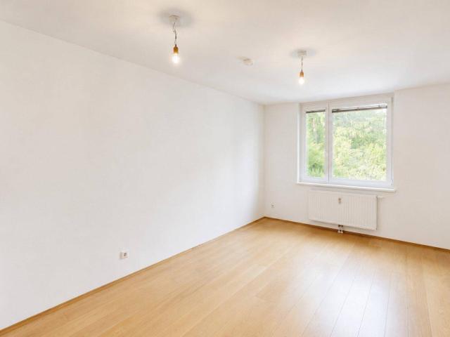 Apartment kaufen in KG Penzing, Wien