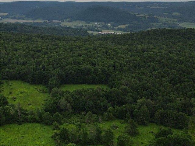 Land for sale in Gilbertsville, New York