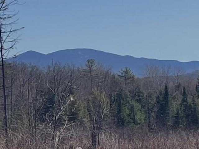 Land for sale in New Hampshire