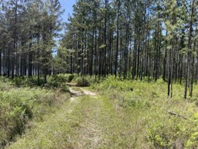 Land for sale in Bay Minette, Alabama