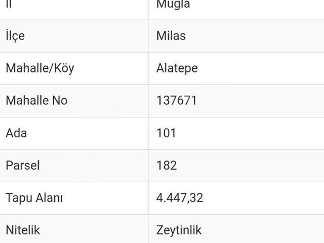 Milas, Muğla içerisinde satılık mülk
