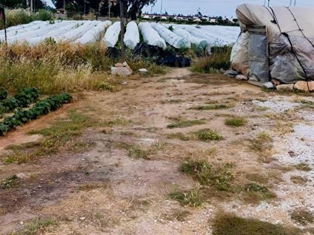 Güneyyurt, Anamur içerisinde satılık Arsa