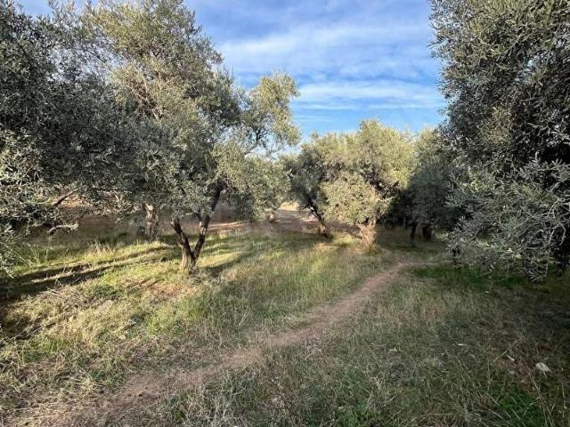 Kemalpaşa, İzmir içerisinde satılık mülk