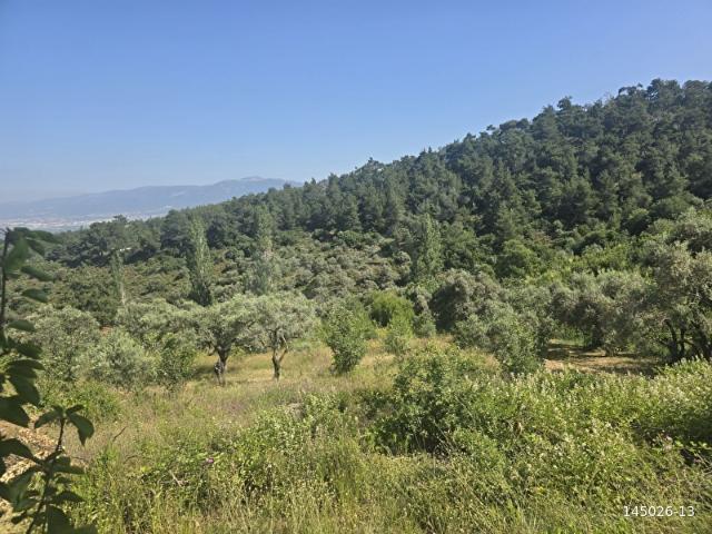 Kemalpaşa, İzmir içerisinde satılık mülk