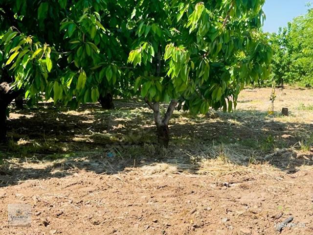 Kemalpaşa, İzmir içerisinde satılık mülk