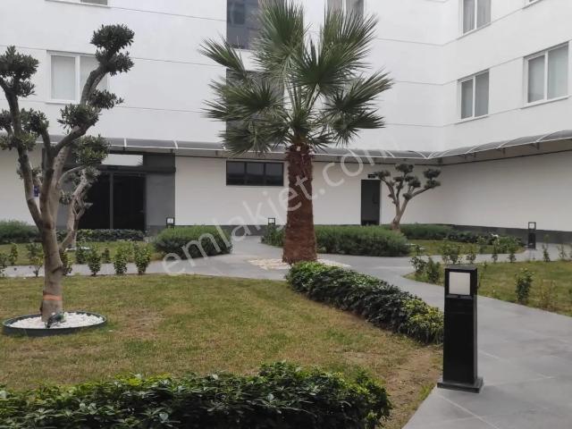 Burhaniye, Balikesir içerisinde kiralık mülk