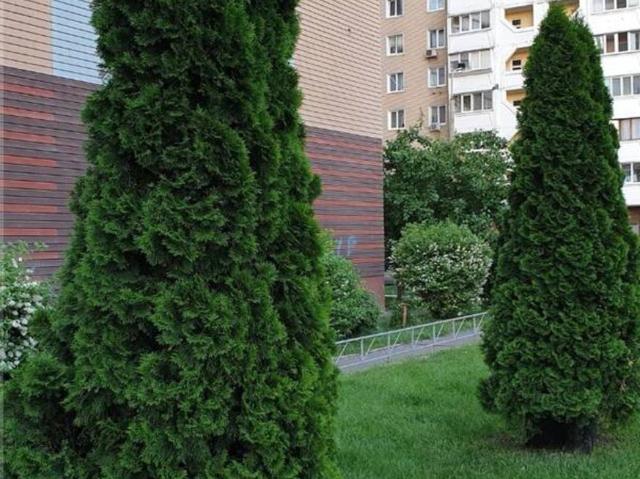 Квартира аренда в Винницкой области