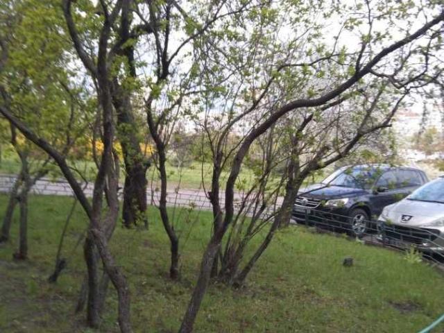 Квартира аренда в Романкове