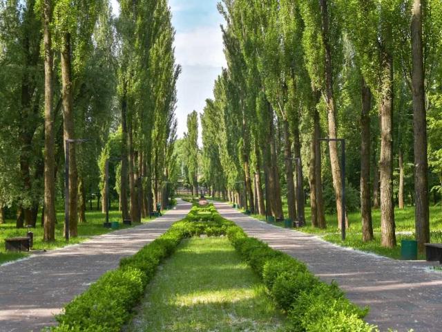 Квартира аренда в Романкове